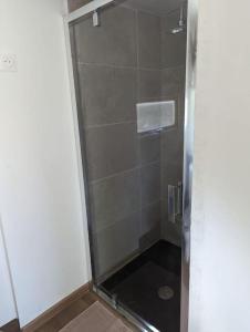 W łazience znajduje się prysznic ze szklanymi drzwiami. w obiekcie Chalet climatisé en campagne avec baignade privée w mieście Lagnes
