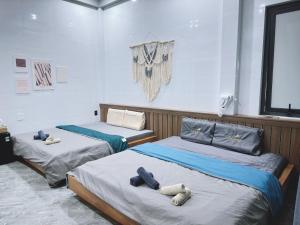 duas camas com bichos de peluche num quarto em Nick’s House - Homestay Đảo Phú Quý em Cu Lao Thu
