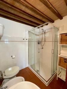 ein Bad mit einer Dusche und einem WC in der Unterkunft Casale dell'Assiolo Bed and Breakfast in Petrignano sul Lago