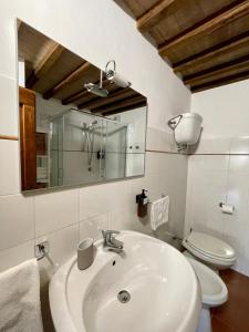 ein Badezimmer mit einem Waschbecken, einem WC und einem Spiegel in der Unterkunft Casale dell'Assiolo Bed and Breakfast in Petrignano sul Lago
