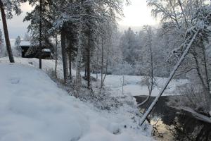 a snow covered forest with a river and trees at Ivalo River Camping in Ivalo