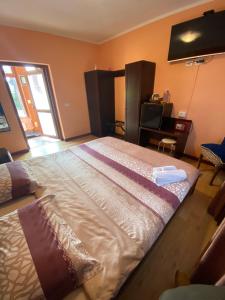 a bedroom with a large bed and a television at O Mie de Lacuri in Vrata