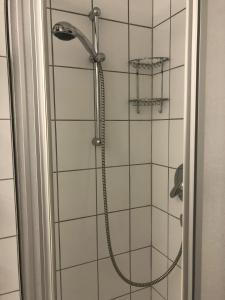 a shower with a shower head in a bathroom at Rosenalm App 23 in Scheidegg