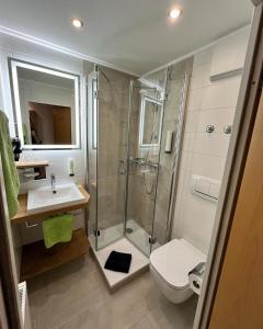 a bathroom with a shower and a sink and a toilet at Garni-Hotel Goldenes Lamm in Speyer