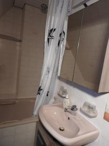 ein Badezimmer mit Waschbecken und Duschvorhang in der Unterkunft Haus Bea in Rickenbach + 7 Fotos