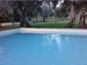 a blue swimming pool with trees in a park at La Collina Con Gli Ulivi in Perugia