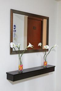 a mirror with two vases with flowers on a shelf at Hotel Sengor in Urbanizacion Buenos Aires