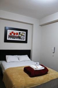 a hotel room with a bed with a picture on the wall at Hotel Sengor in Urbanizacion Buenos Aires