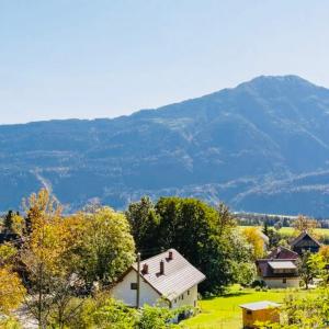 a house in a field with a mountain in the background at MARTUS APARTMAN in Matschiedl +14 photos