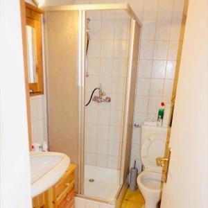 a bathroom with a shower and a toilet and a sink at MARTUS APARTMAN in Matschiedl