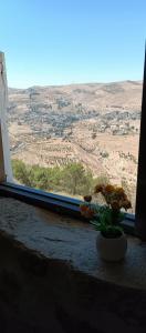a vase with flowers on a window sill with a view at mountain view house in Kerak