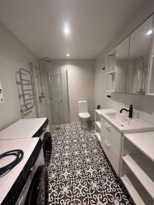ein Bad mit einer Dusche, einem WC und einem Waschbecken in der Unterkunft Bagargården 8 in Åre