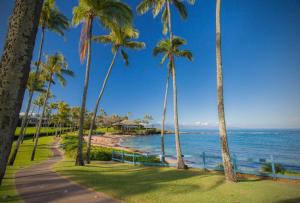 a path next to the beach with palm trees at 2511 Ridge in Kahana