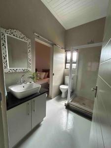 ein Bad mit einem Waschbecken, einer Dusche und einem WC in der Unterkunft Comfortable home centrally located in Hoedspruit in Hoedspruit