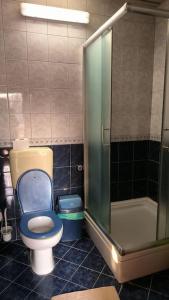 bagno con servizi igienici blu e doccia di Cozy Ivana's Apartment a Skopje