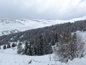 Appartement cosy dans chalet vue Montagne v zime