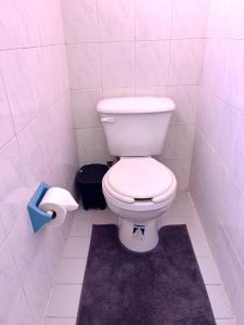 a bathroom with a toilet and a roll of toilet paper at Foro Sol in Mexico City