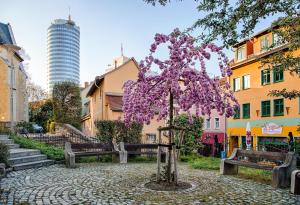 a tree with purple flowers in the middle of a street at FAIR RESORT All Inclusive Wellness & Spa Hotel Jena in Jena