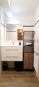 uma casa de banho com um lavatório e um espelho em Appartement calme, à proximité du parc des expos em Quimper