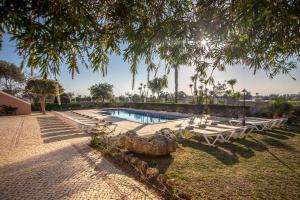 uma piscina com espreguiçadeiras e uma árvore em Al Meida Guesthouse em Albufeira