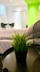 a potted plant sitting on a table next to a bed at Centrally located Apartment Vienna included Netflix in Vienna