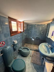 een badkamer met een blauw toilet en een wastafel bij The Knights Courtyard in Rhodos-stad