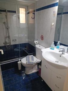 y baño con aseo, lavabo y ducha. en Rea's House Vrachati, en Vrachati
