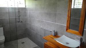 a bathroom with a shower and a sink and a toilet at Villa Montjoly in Le Morne-Vert