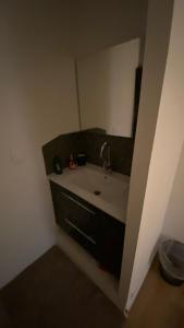 ein Bad mit einem Waschbecken und einem Spiegel in der Unterkunft la chambrette in Lincel