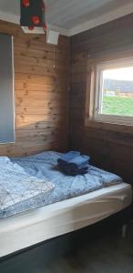 a bed in a wooden room with a window at Cabin Borgvåg Small in Straum