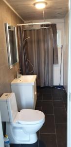 a bathroom with a toilet and a sink and a shower at Cabin Borgvåg Small in Straum