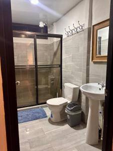 uma casa de banho com um chuveiro, um WC e um lavatório. em Casa caribes em Puerto Limón