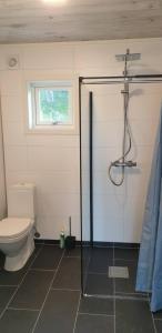 a bathroom with a toilet and a glass shower stall at Cabin in Borgvåg Lofoten - Large in Straum