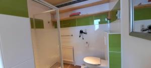 Kúpeľňa v ubytovaní Urlaub am Krausberghof, Apartment mit Balkon und Parkplatz, inmitten der Natur, kostenfreie Kaffeekapseln, 6 Fahrminuten zur Alpentherme Gastein und zur Schlossalmbahn, Spielplatz, großer Gartenbereich