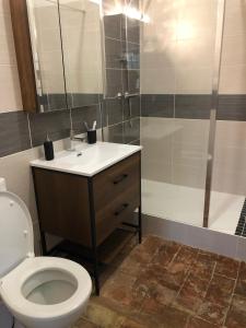 La salle de bains est pourvue d'une douche et de toilettes. dans l'établissement Les Granges du Pichat, à Froges