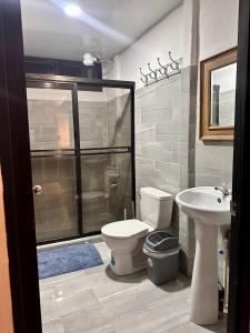 een badkamer met een douche, een toilet en een wastafel bij Casa caribes in Puerto Limón