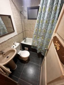 W łazience znajduje się toaleta, umywalka i prysznic. w obiekcie Hostal y Cabañas Mirando al Mar w mieście Puerto Montt