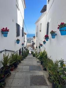 Une allée dans une ville avec des plantes en pot dans l'établissement ALMAFUERTE, à Mijas