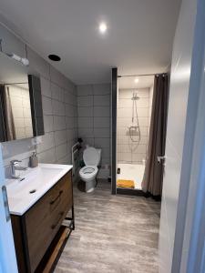 a bathroom with a sink and a toilet and a shower at Les jardins du Moiron in Le Champ-près-Froges