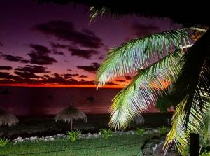 eine Palme mit Sonnenuntergang im Hintergrund in der Unterkunft Casa De Lua - Blue Paradise in Vilankulo