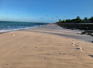 plaża z odciskami stóp w piasku i oceanie w obiekcie Casa De Lua - Blue Paradise w mieście Vilanculos
