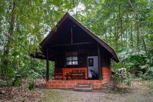 a small house in the middle of a forest at Arenal Oasis Eco Lodge & Wildlife Refuge in Fortuna