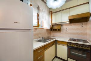 a kitchen with a refrigerator and a sink at Apartments Marija in Brna