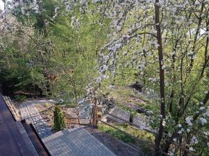 an overhead view of a tree with white flowers at Stodoła z widokiem in Żywiec