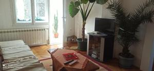 uma sala de estar com um sofá e uma televisão em Bosa em Arandjelovac