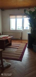 sala de estar con 2 ventanas y alfombra en Bosa en Arandjelovac