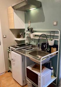 uma cozinha com um lavatório e uma bancada em Studio Le Terra - Petit déjeuner inclus 1ère nuit - AUX 4 LOGIS em Foix
