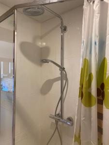 a shower with a glass door in a bathroom at LAS ALBRICIAS in León