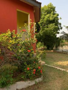 a red house with a bush of flowers in a yard at Paradise Ocean Resort in Cape Coast