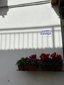 um vaso de flores vermelhas no parapeito da janela em Maria house em Scafati